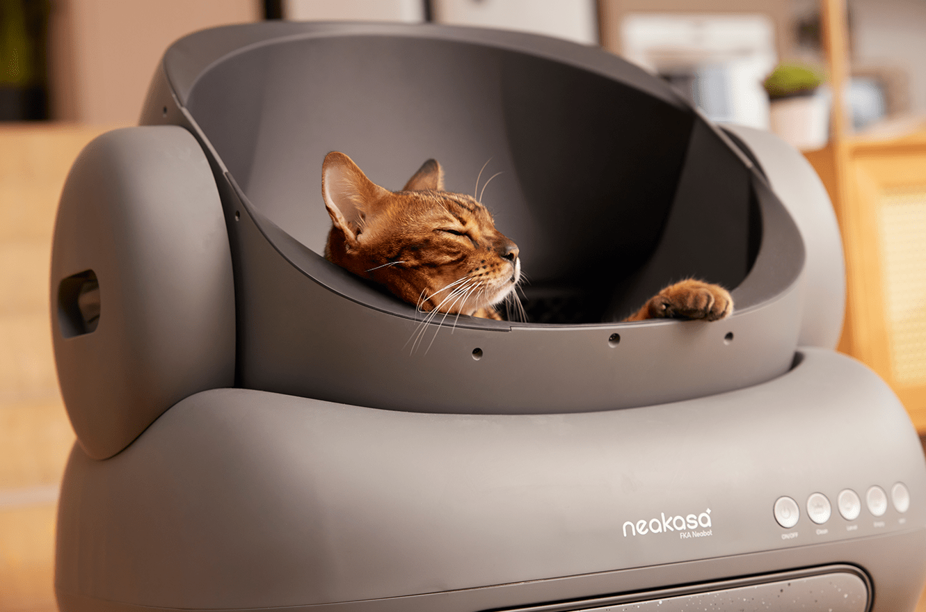 Neakasa M1 - Litière pour chat autonettoyante à toit ouvert - Chat - FutéNeakasa M1 - Litière pour chat autonettoyante à toit ouvertNeakasa
