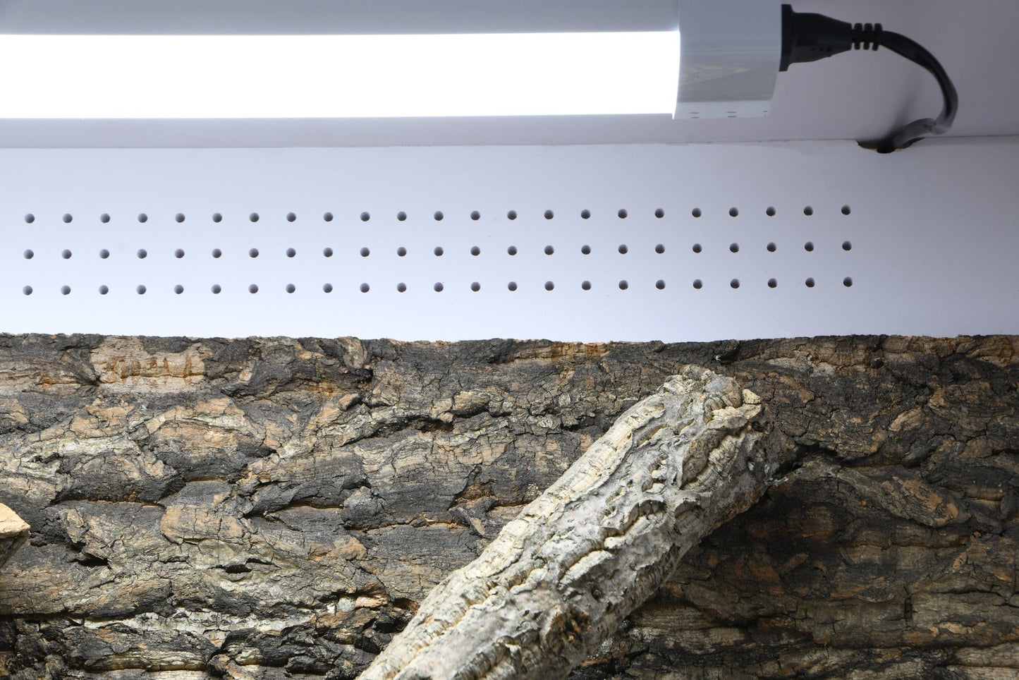IsoTarrium Basic (lampe non fournis) - Chat - FutéIsoTarrium Basic (lampe non fournis)TerrariumLucky Reptile