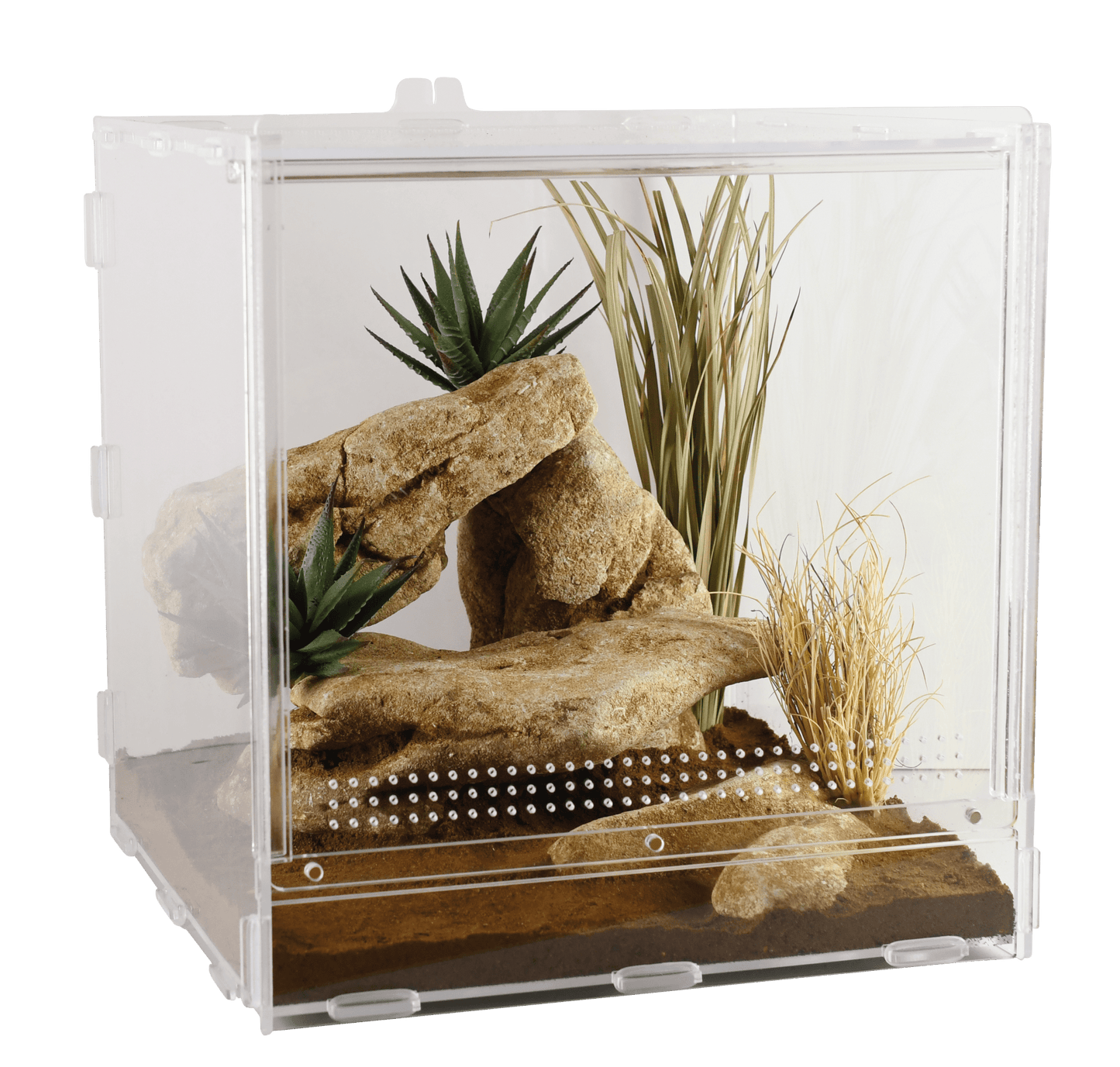 LifeTarrium (lumière non fournis) - Chat - FutéLifeTarrium (lumière non fournis)TerrariumLucky Reptile