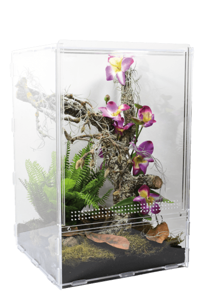 LifeTarrium (lumière non fournis) - Chat - FutéLifeTarrium (lumière non fournis)TerrariumLucky Reptile