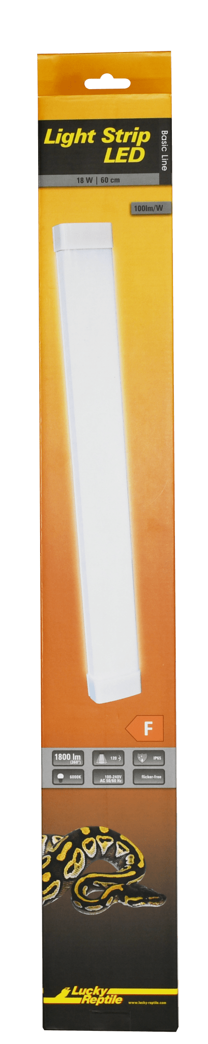Light Strip LED - Chat - FutéLight Strip LEDLucky Reptile