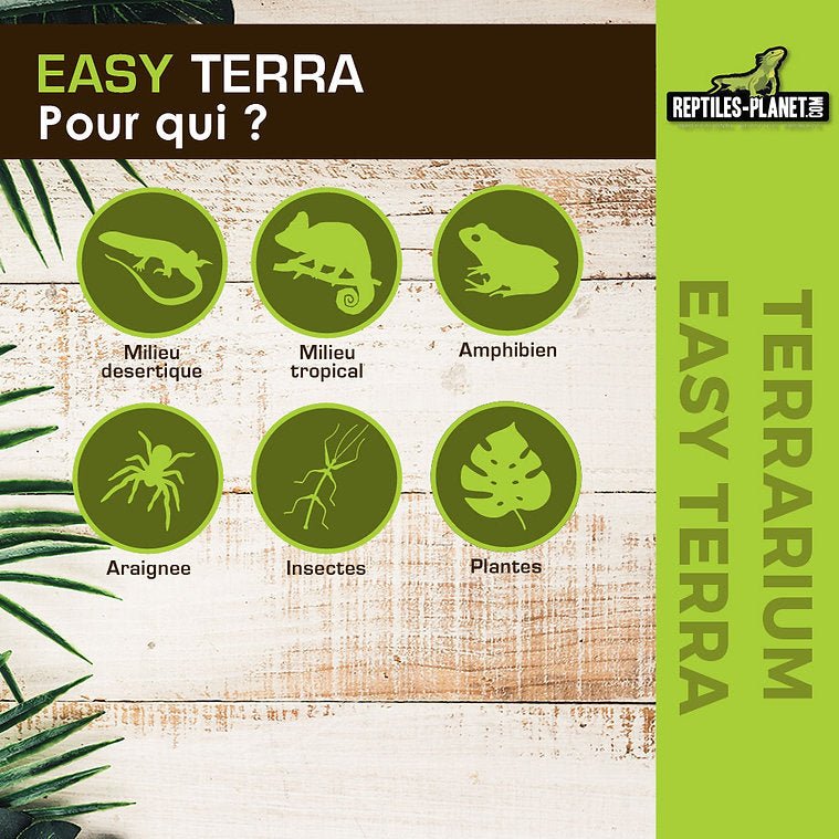 Easy Terra S - 20x20x16,5 cm - Chat - FutéEasy Terra S - 20x20x16,5 cmTerrariumReptile Planet