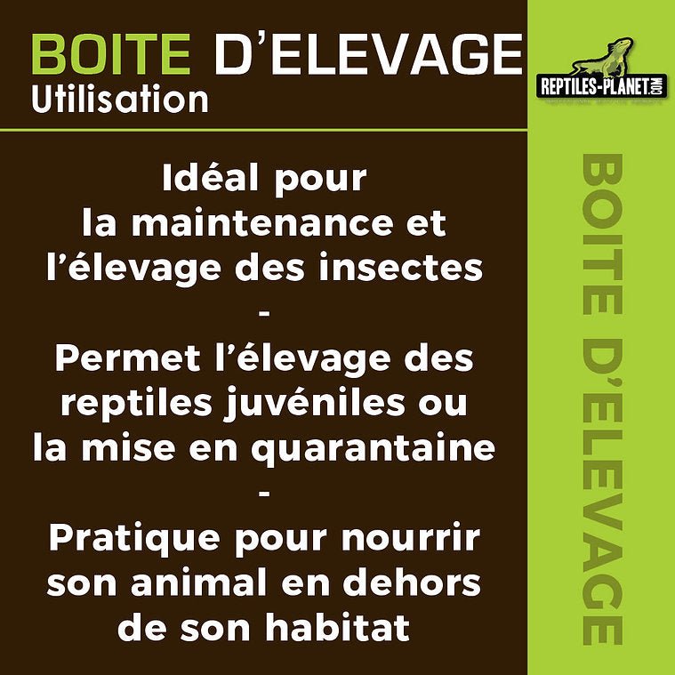 Boîtes d'Élevage - Taille XS, S, M, L - Chat - FutéBoîtes d'Élevage - Taille XS, S, M, LTerrariumReptile Planet