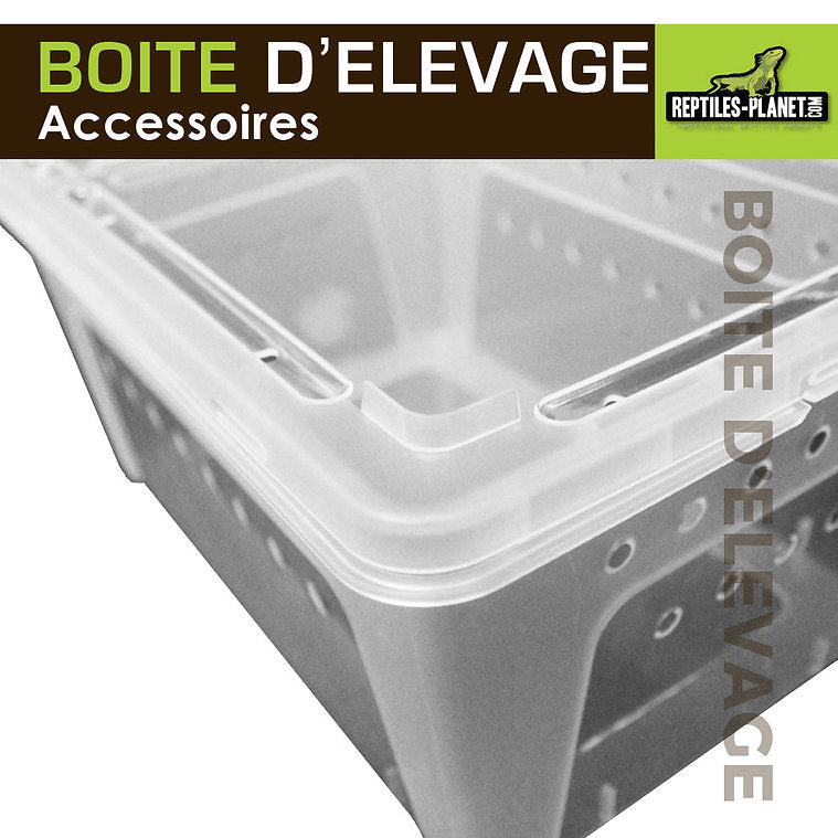 Boîtes d'Élevage - Taille XS, S, M, L - Chat - FutéBoîtes d'Élevage - Taille XS, S, M, LTerrariumReptile Planet