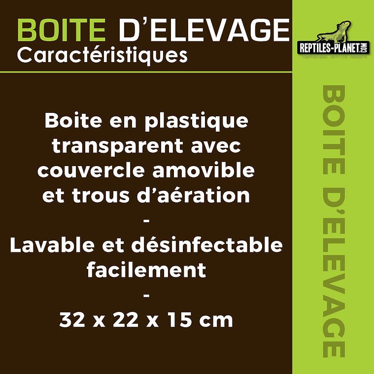 Boîtes d'Élevage - Taille XS, S, M, L - Chat - FutéBoîtes d'Élevage - Taille XS, S, M, LTerrariumReptile Planet