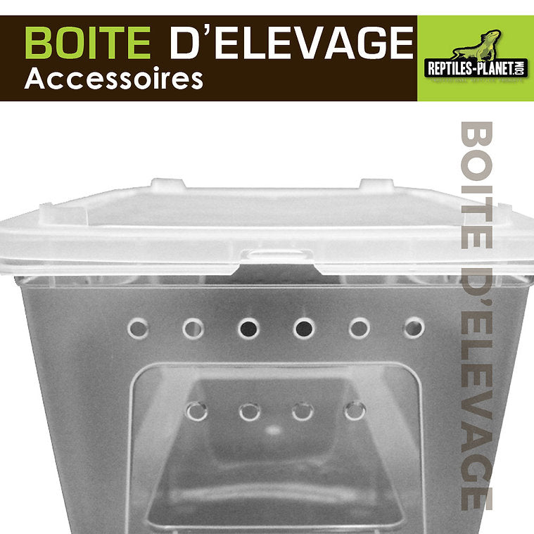 Boîtes d'Élevage - Taille XS, S, M, L - Chat - FutéBoîtes d'Élevage - Taille XS, S, M, LTerrariumReptile Planet