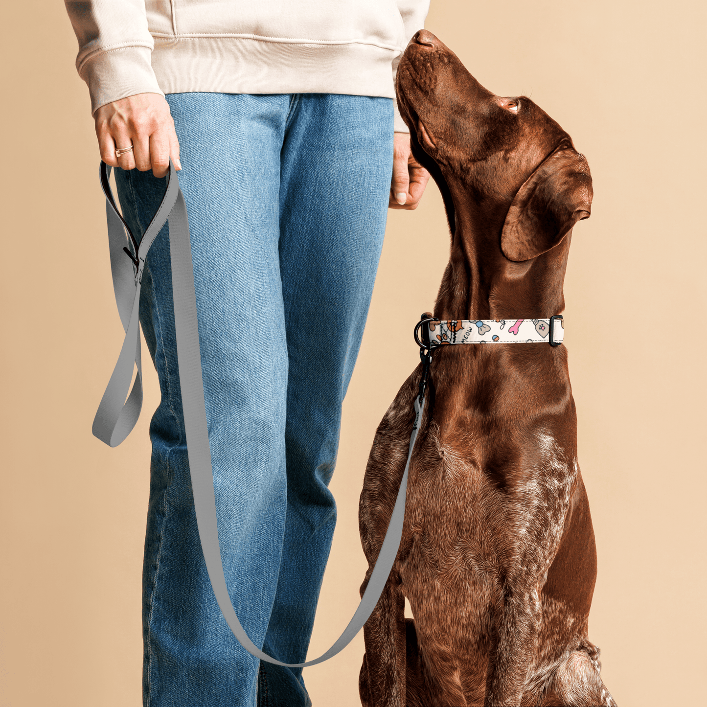 Collier pour animaux de compagnie - Chat - Futé - Chat - FutéCollier pour animaux de compagnie - Chat - FutéCollier pour chienChat - Futé