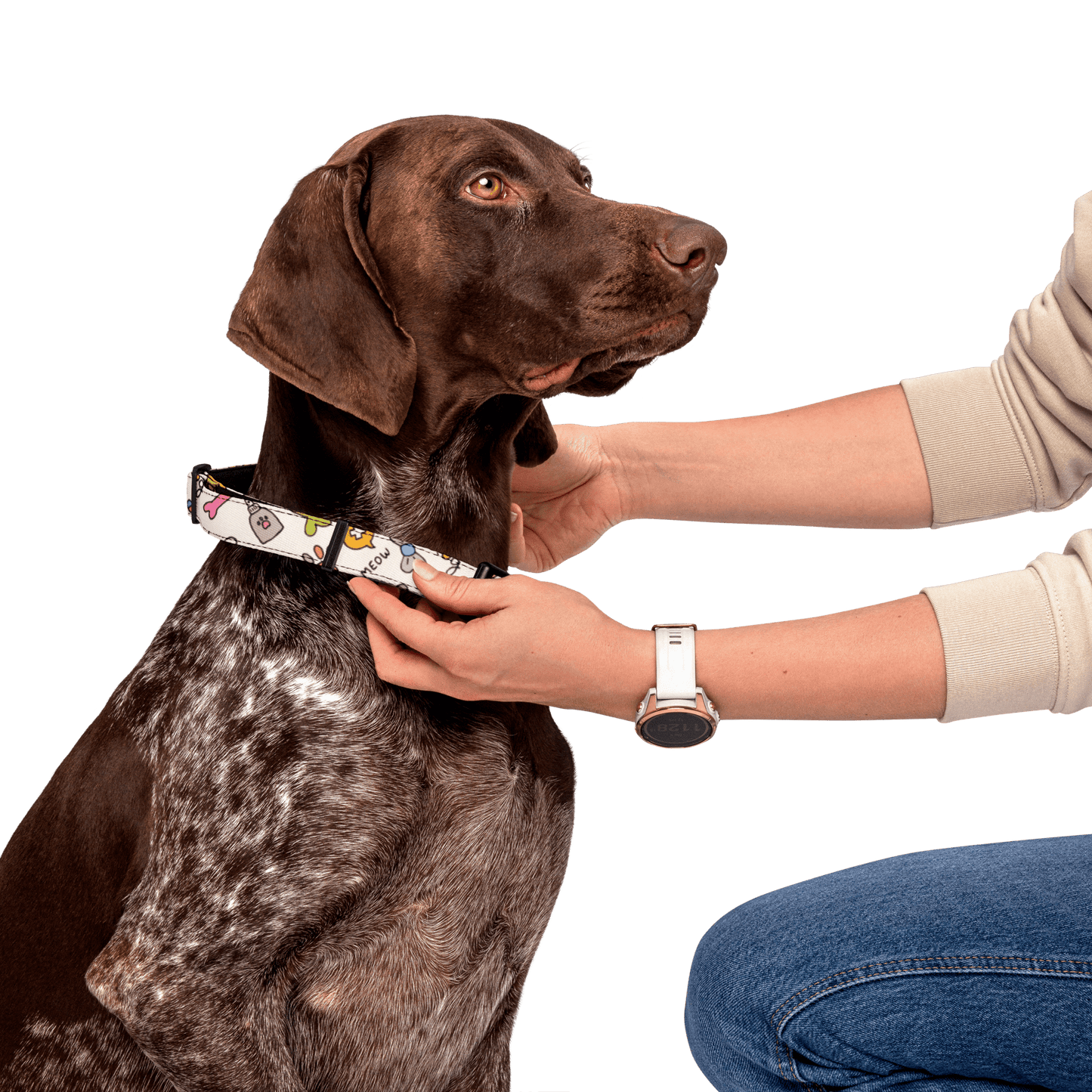 Collier pour animaux de compagnie - Chat - Futé - Chat - FutéCollier pour animaux de compagnie - Chat - FutéCollier pour chienChat - Futé
