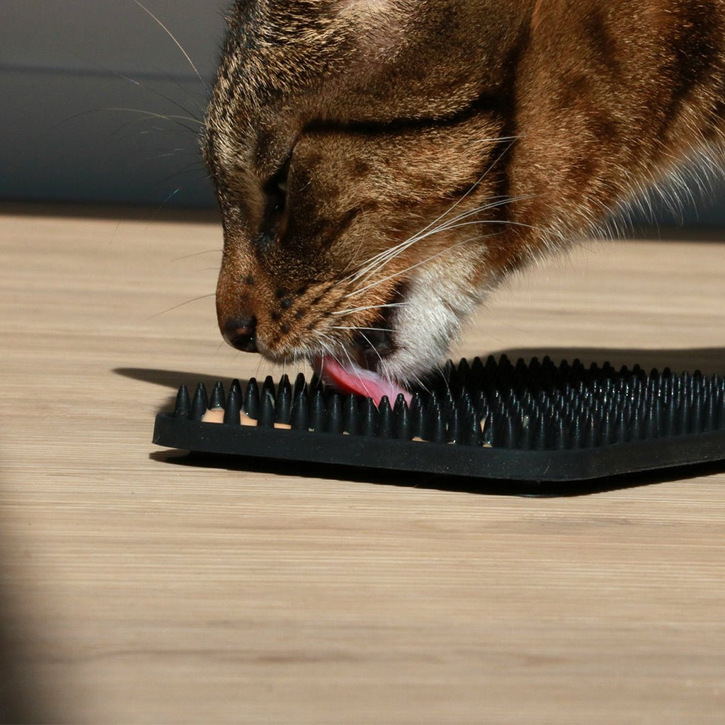 LEX - Tapis de léchage avec picots Noir - Chat - FutéLEX - Tapis de léchage avec picots NoirD&D Home