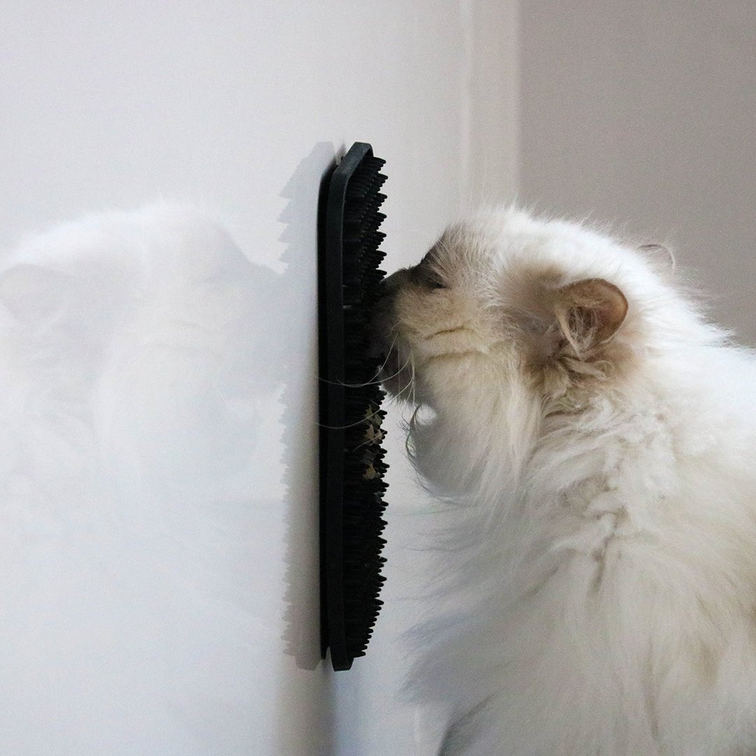 LEX - Tapis de léchage avec picots Noir - Chat - FutéLEX - Tapis de léchage avec picots NoirD&D Home