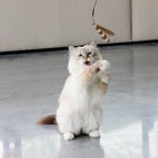 CONNOR - Canne à pêche télescopique - 3 proies Crème/noir - Chat - FutéCONNOR - Canne à pêche télescopique - 3 proies Crème/noirD&D Home