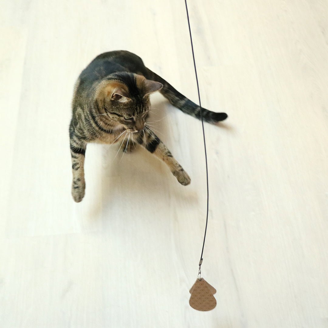 CONNOR - Canne à pêche télescopique - 3 proies Crème/noir - Chat - FutéCONNOR - Canne à pêche télescopique - 3 proies Crème/noirD&D Home