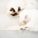 JUNE — Méduse jouet Brun - Chat - FutéJUNE — Méduse jouet BrunD&D Home