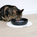 ACE — bol à eau Noir - Chat - FutéACE — bol à eau NoirD&D Home