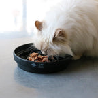 SUE — Gamelle anti - glouton « vague » Noir - Chat - FutéSUE — Gamelle anti - glouton « vague » NoirD&D Home