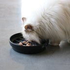 SUE — Gamelle anti - glouton « vague » Noir - Chat - FutéSUE — Gamelle anti - glouton « vague » NoirD&D Home