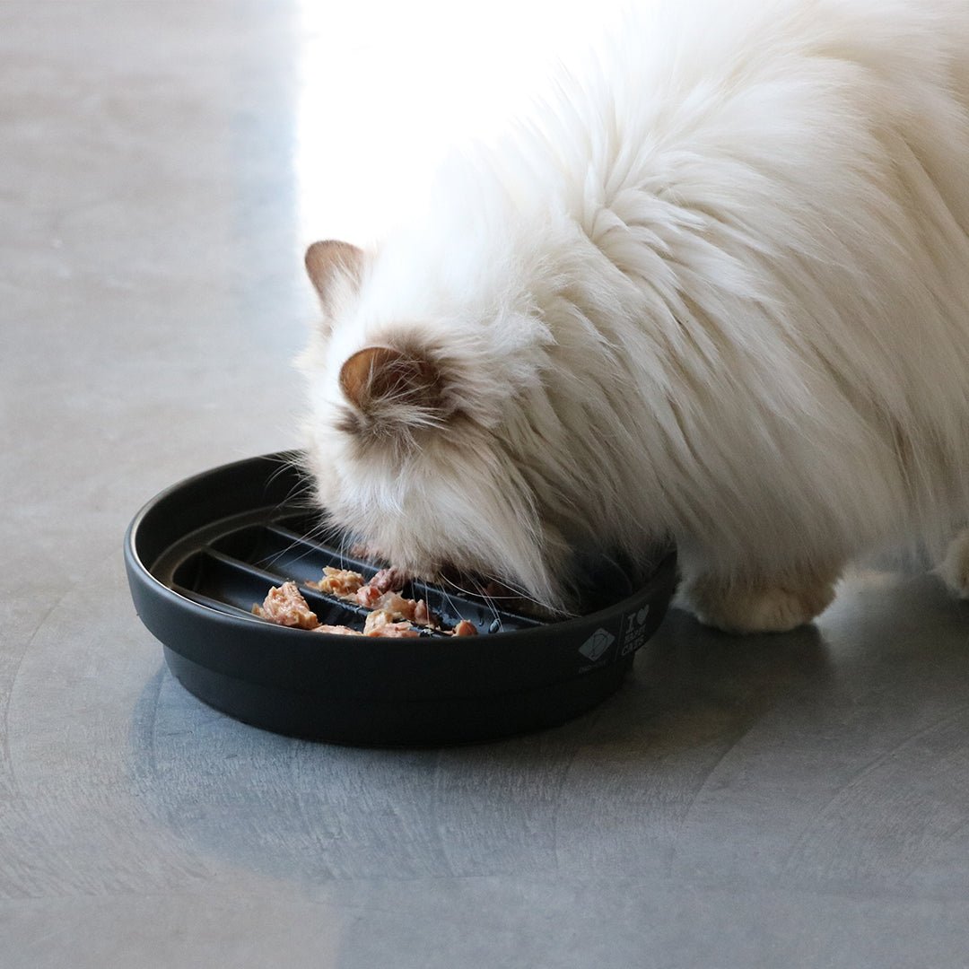 SUE — Gamelle anti - glouton « vague » Noir - Chat - FutéSUE — Gamelle anti - glouton « vague » NoirD&D Home