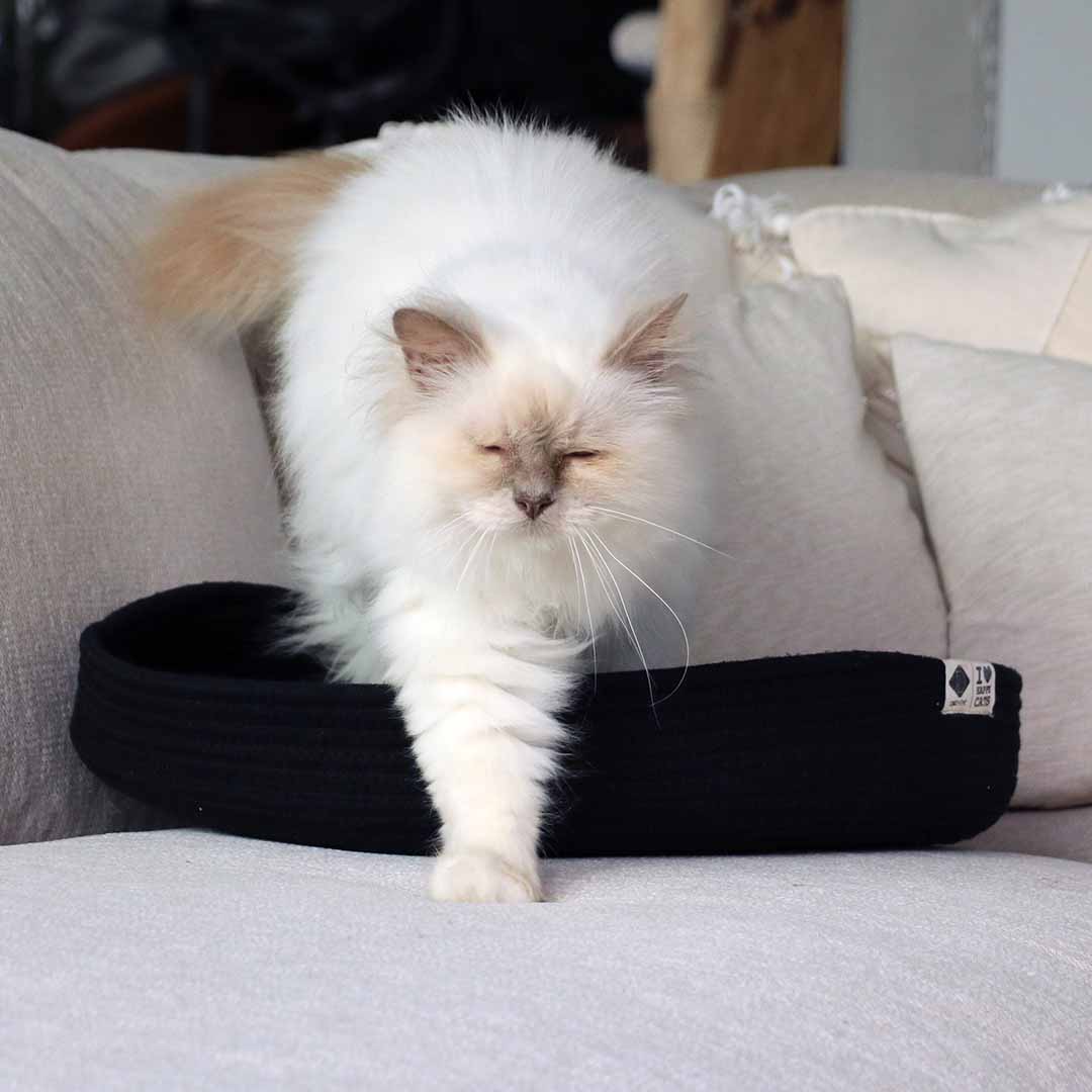 JESS — Panier pour chat - Chat - FutéJESS — Panier pour chatD&D Home