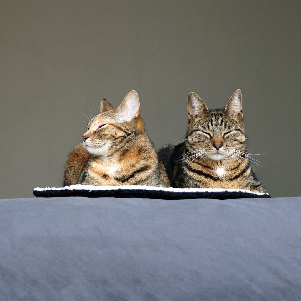 MAEVE – Couverture circulaire Noir/blanc - Chat - FutéMAEVE – Couverture circulaire Noir/blancD&D Home