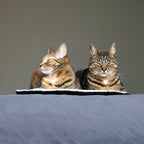 MAEVE – Couverture circulaire Noir/blanc - Chat - FutéMAEVE – Couverture circulaire Noir/blancD&D Home