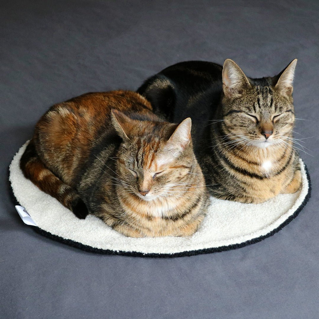 MAEVE – Couverture circulaire Noir/blanc - Chat - FutéMAEVE – Couverture circulaire Noir/blancD&D Home