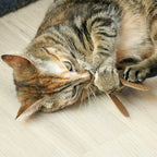 CONNOR - Canne à pêche télescopique - 3 proies Crème/noir - Chat - FutéCONNOR - Canne à pêche télescopique - 3 proies Crème/noirD&D Home