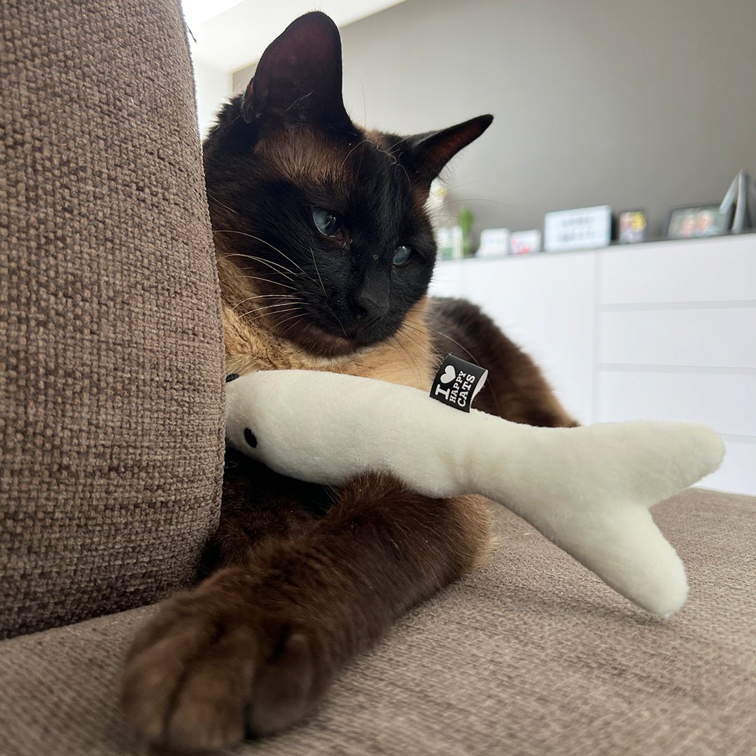 FINN — Coussin de frappe en forme de poisson Multicolore - Chat - FutéFINN — Coussin de frappe en forme de poisson MulticoloreD&D Home