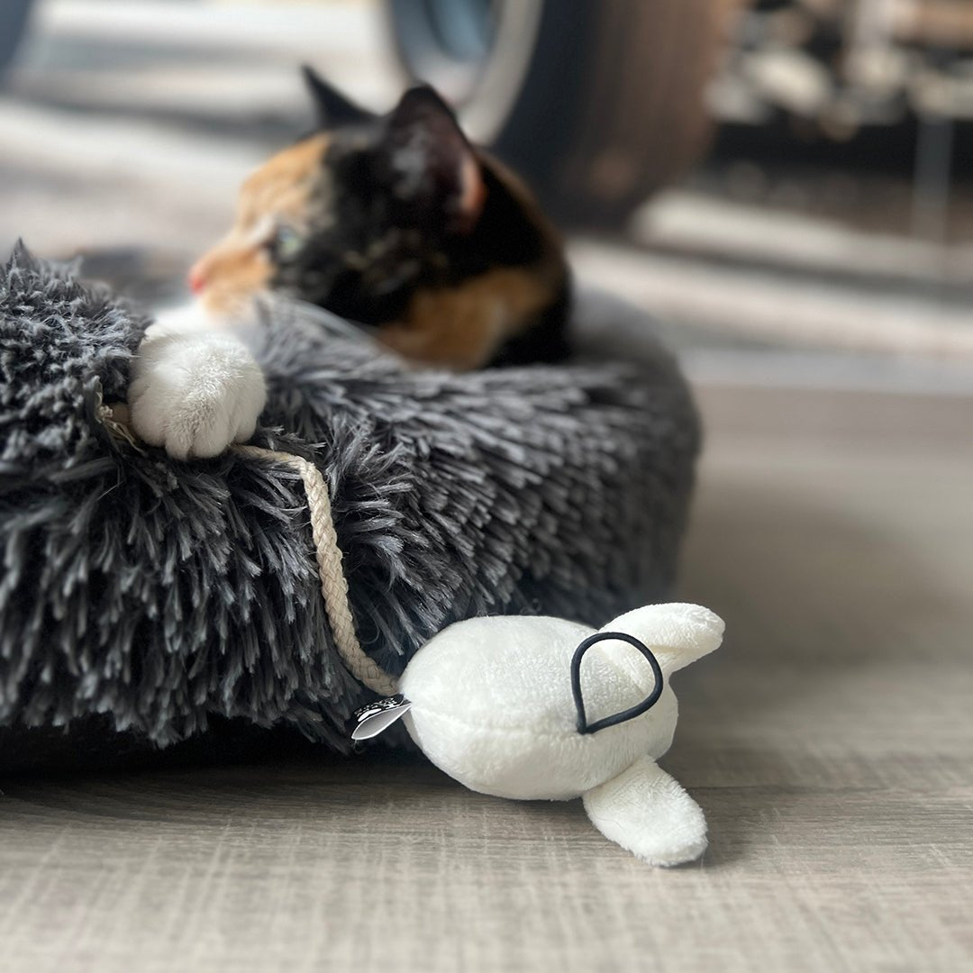 MOOSY – Jouet en forme de souris Multicolore - Chat - FutéMOOSY – Jouet en forme de souris MulticoloreD&D Home