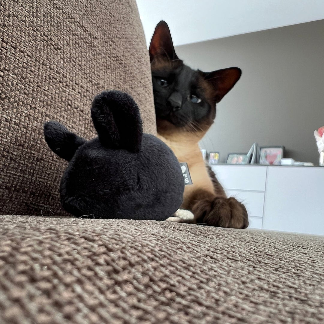 MOOSY – Jouet en forme de souris Multicolore - Chat - FutéMOOSY – Jouet en forme de souris MulticoloreD&D Home