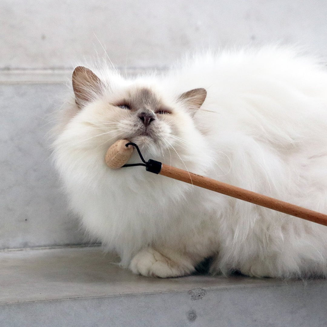 LOU — Socialisateur Couleur bois - Chat - FutéLOU — Socialisateur Couleur boisD&D Home