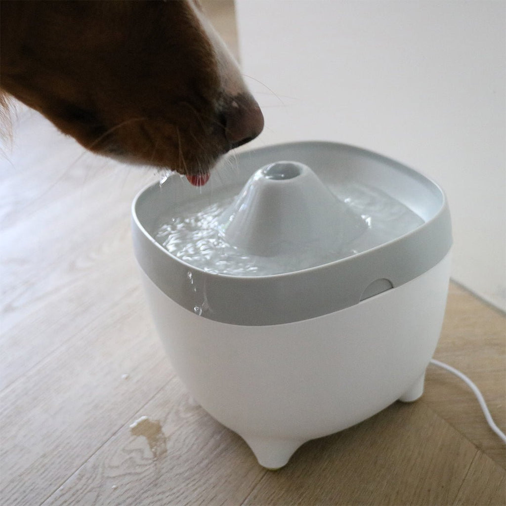 Fontaine à boire Yuna Blanc/gris - Chat - FutéFontaine à boire Yuna Blanc/grisFontaine a eauYuna