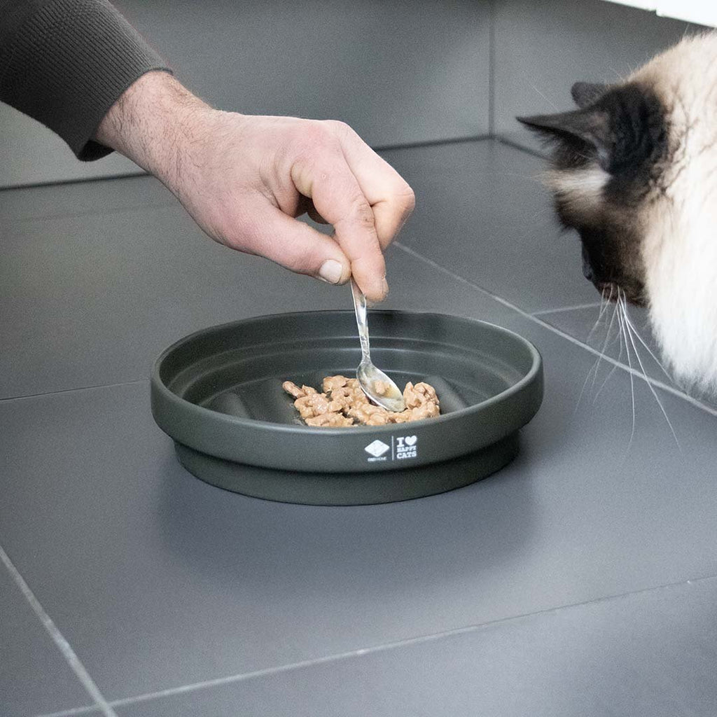 SUE — gamelle anti - glouton « labyrinthe » Vert - Chat - FutéSUE — gamelle anti - glouton « labyrinthe » VertD&D Home