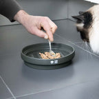 SUE — gamelle anti - glouton « labyrinthe » Vert - Chat - FutéSUE — gamelle anti - glouton « labyrinthe » VertD&D Home