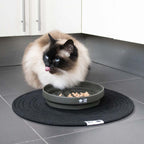 SUE — gamelle anti - glouton « labyrinthe » Vert - Chat - FutéSUE — gamelle anti - glouton « labyrinthe » VertD&D Home