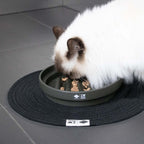 SUE — gamelle anti - glouton « labyrinthe » Vert - Chat - FutéSUE — gamelle anti - glouton « labyrinthe » VertD&D Home