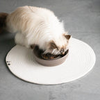 JILL - Set de table Noir - Chat - FutéJILL - Set de table NoirD&D Home