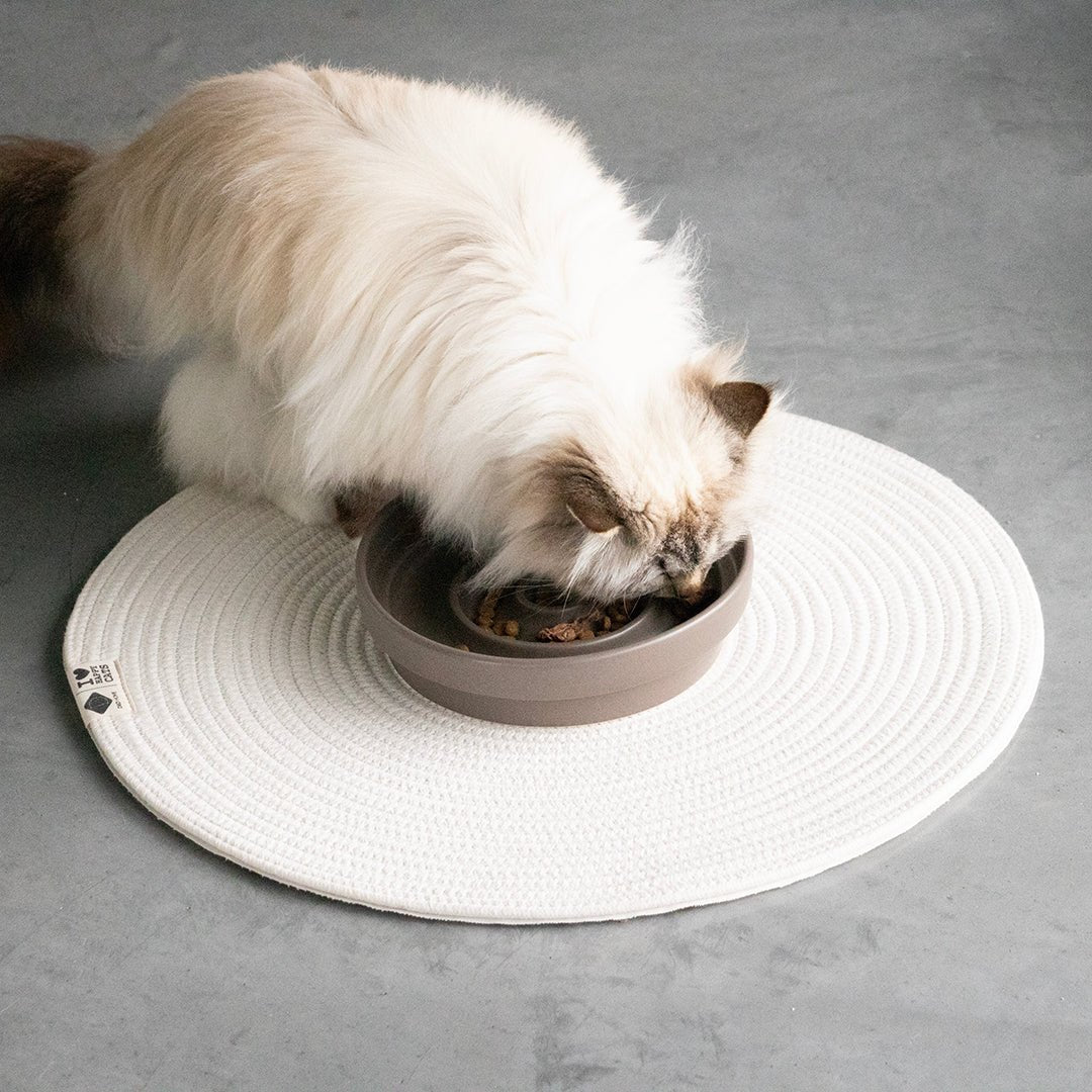 JILL - Set de table Noir - Chat - FutéJILL - Set de table NoirD&D Home