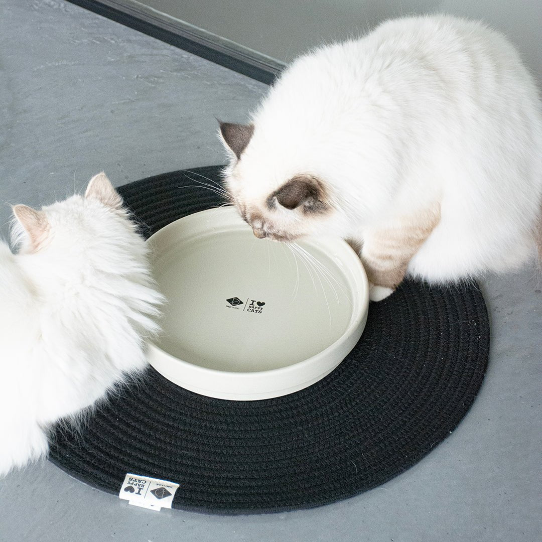 JILL - Set de table Noir - Chat - FutéJILL - Set de table NoirD&D Home