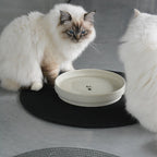 JILL - Set de table Noir - Chat - FutéJILL - Set de table NoirD&D Home