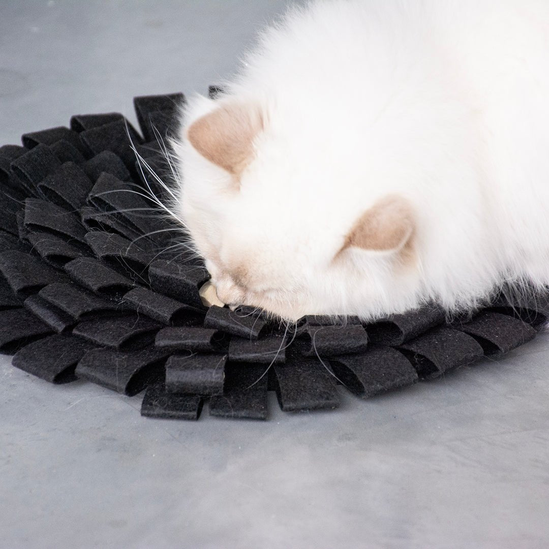 SUZY - tapis à renifler Noir - Chat - FutéSUZY - tapis à renifler NoirD&D Home