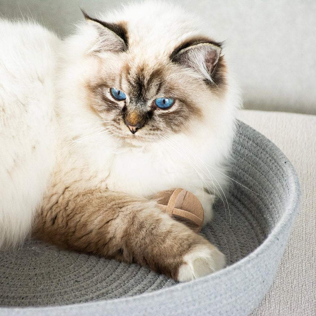 JESS — Panier pour chat - Chat - FutéJESS — Panier pour chatD&D Home