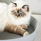 JESS — Panier pour chat - Chat - FutéJESS — Panier pour chatD&D Home