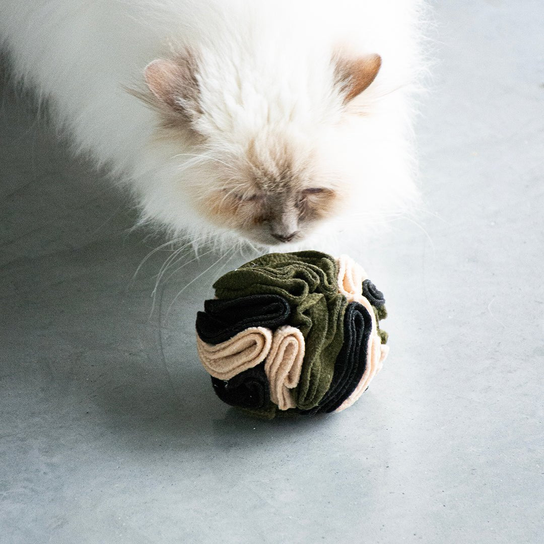 SIMON - balle à friandise Multicolore - Chat - FutéSIMON - balle à friandise MulticoloreD&D Home