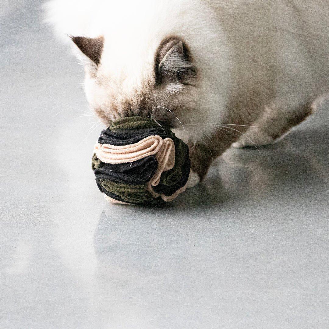 SIMON - balle à friandise Multicolore - Chat - FutéSIMON - balle à friandise MulticoloreD&D Home