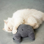 ZORAN - coussin de frappe à remplissage multiple Gris - Chat - FutéZORAN - coussin de frappe à remplissage multiple GrisD&D Home