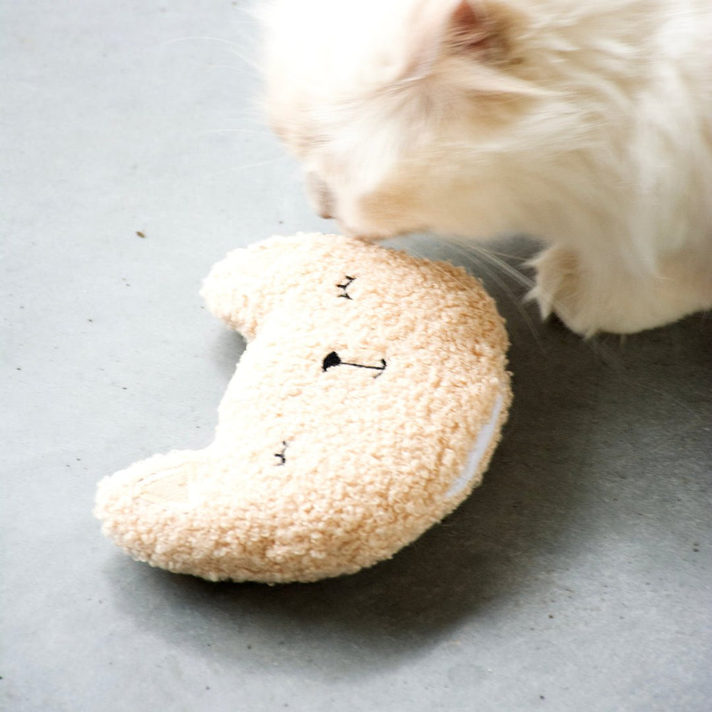 ZARA - coussin de frappe à remplissage multiple Blanc cassé - Chat - FutéZARA - coussin de frappe à remplissage multiple Blanc casséD&D Home