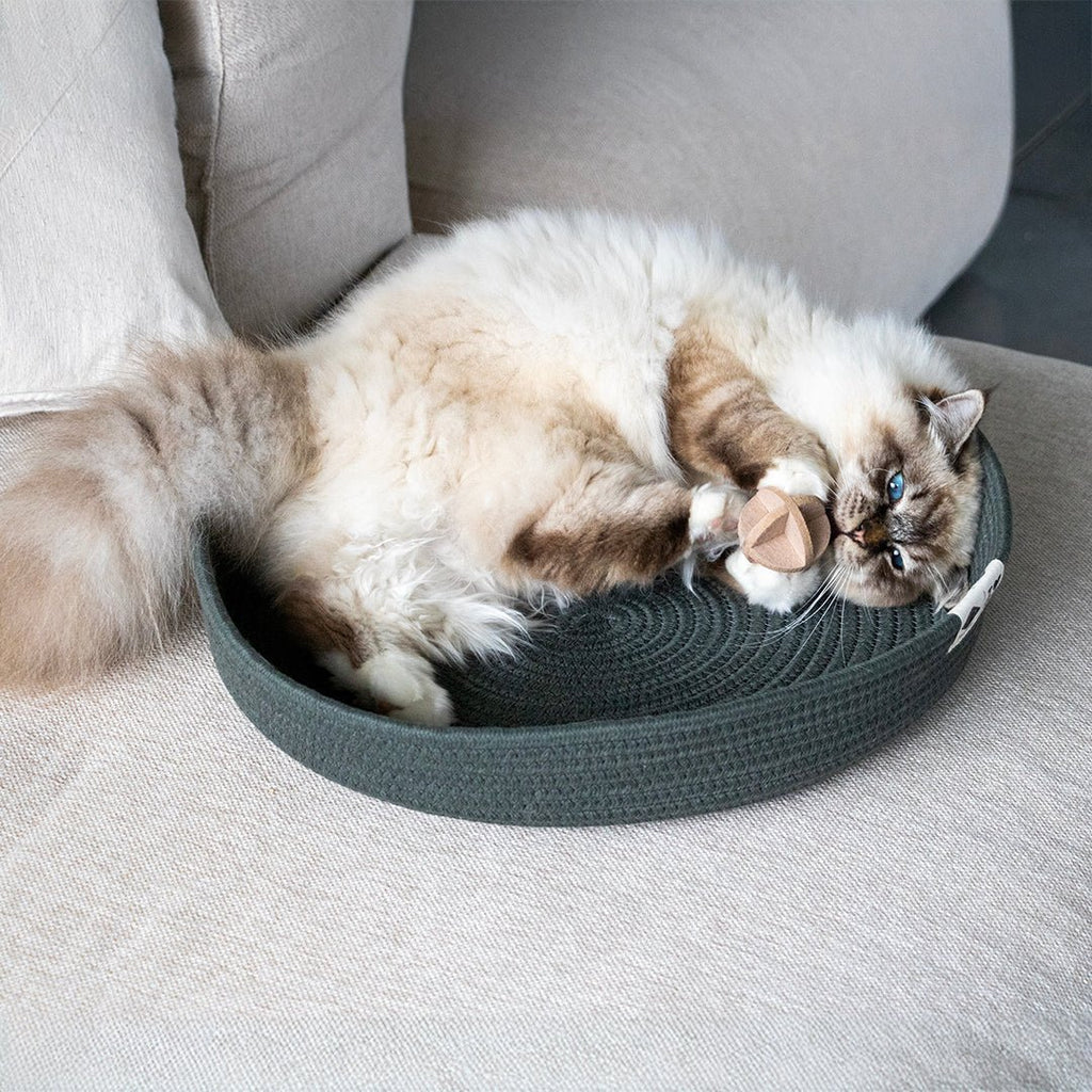 CHARLIE – Balle en feutre pour chat – Couleurs mélangées - Chat - FutéCHARLIE – Balle en feutre pour chat – Couleurs mélangéesChat - Futé