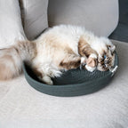 CHARLIE – Balle en feutre pour chat – Couleurs mélangées - Chat - FutéCHARLIE – Balle en feutre pour chat – Couleurs mélangéesChat - Futé