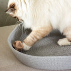 CHARLIE – Balle en feutre pour chat – Couleurs mélangées - Chat - FutéCHARLIE – Balle en feutre pour chat – Couleurs mélangéesChat - Futé