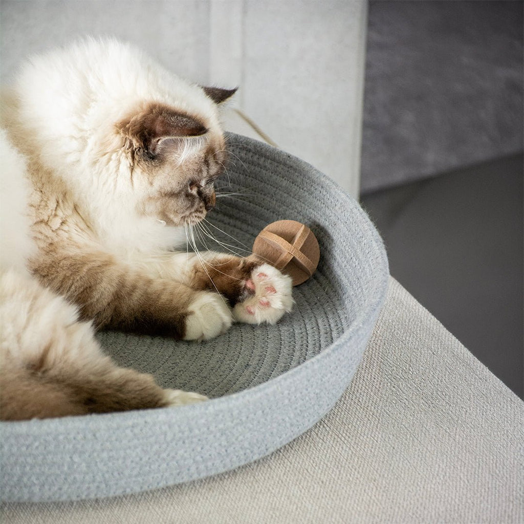 CHARLIE – Balle en feutre pour chat – Couleurs mélangées - Chat - FutéCHARLIE – Balle en feutre pour chat – Couleurs mélangéesChat - Futé